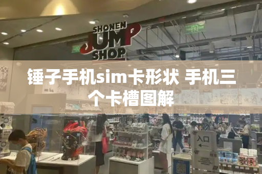 锤子手机sim卡形状 手机三个卡槽图解-第1张图片-星选测评