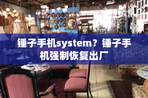 锤子手机system？锤子手机强制恢复出厂-第1张图片-星选测评