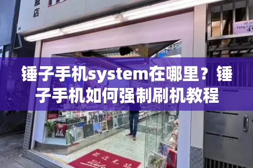 锤子手机system在哪里？锤子手机如何强制刷机教程-第1张图片-星选测评