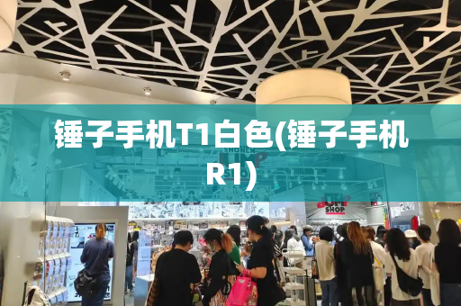 锤子手机T1白色(锤子手机R1)