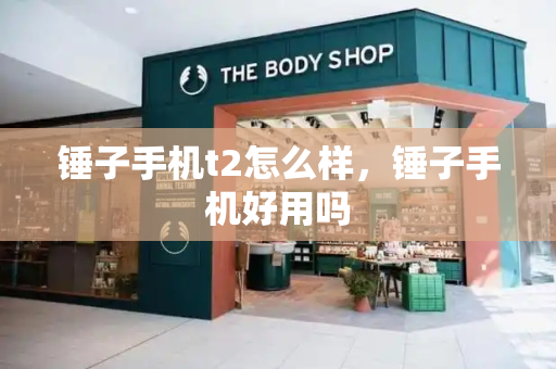 锤子手机t2怎么样，锤子手机好用吗-第1张图片-星选测评