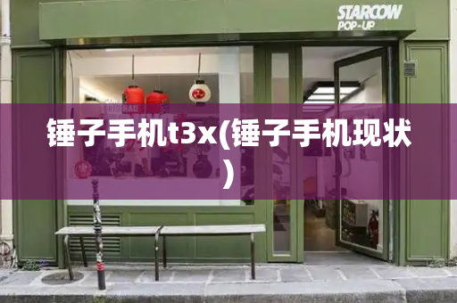 锤子手机t3x(锤子手机现状)-第1张图片-星选测评