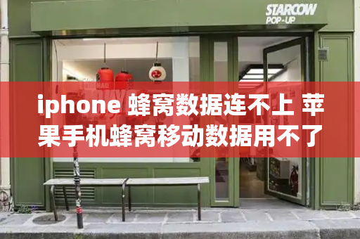 iphone 蜂窝数据连不上 苹果手机蜂窝移动数据用不了