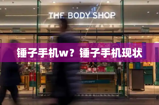锤子手机w？锤子手机现状-第1张图片-星选测评