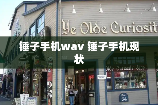 锤子手机wav 锤子手机现状