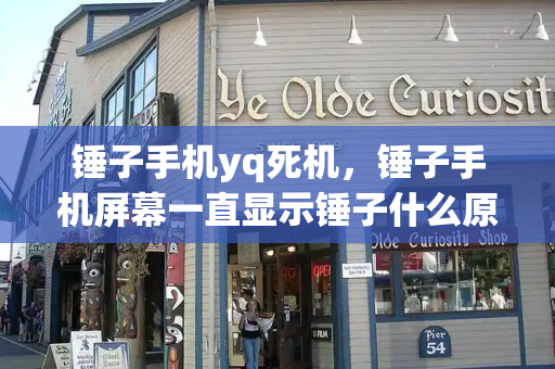 锤子手机yq死机，锤子手机屏幕一直显示锤子什么原因