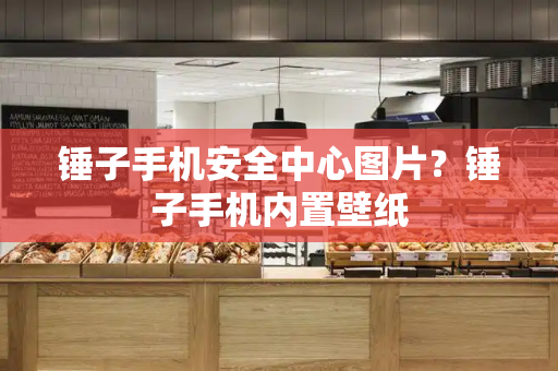 锤子手机安全中心图片？锤子手机内置壁纸-第1张图片-星选测评