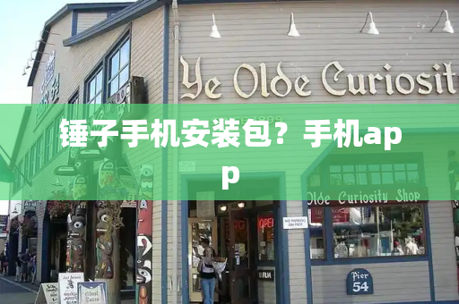 锤子手机安装包？手机app-第1张图片-星选测评