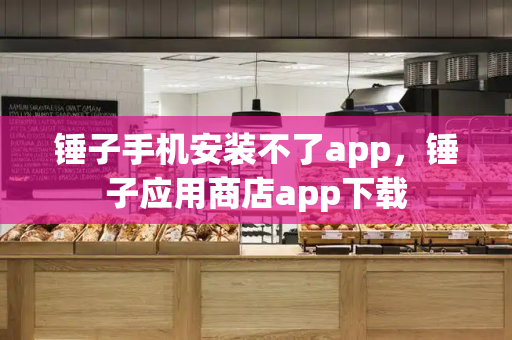 锤子手机安装不了app，锤子应用商店app下载