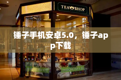 锤子手机安卓5.0，锤子app下载-第1张图片-星选测评