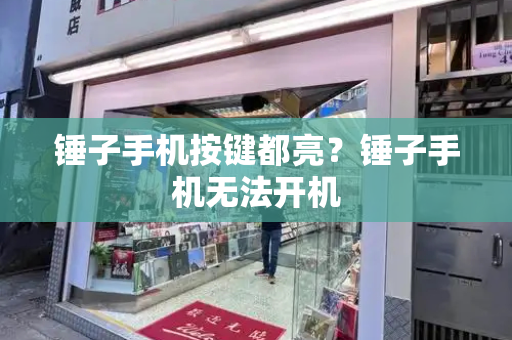 锤子手机按键都亮？锤子手机无法开机-第1张图片-星选测评