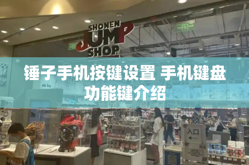 锤子手机按键设置 手机键盘功能键介绍-第1张图片-星选测评