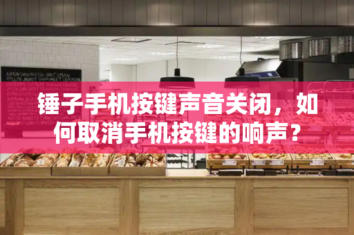 锤子手机按键声音关闭，如何取消手机按键的响声？-第1张图片-星选测评