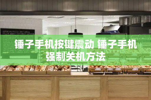 锤子手机按键震动 锤子手机强制关机方法