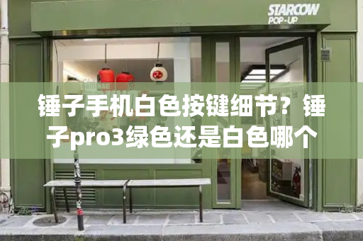 锤子手机白色按键细节？锤子pro3绿色还是白色哪个好
