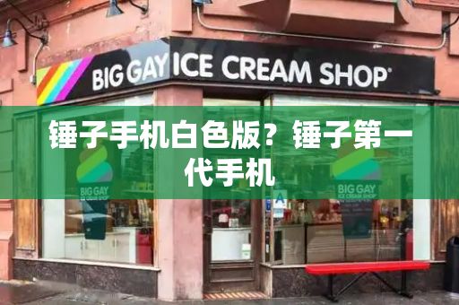锤子手机白色版？锤子第一代手机-第1张图片-星选测评