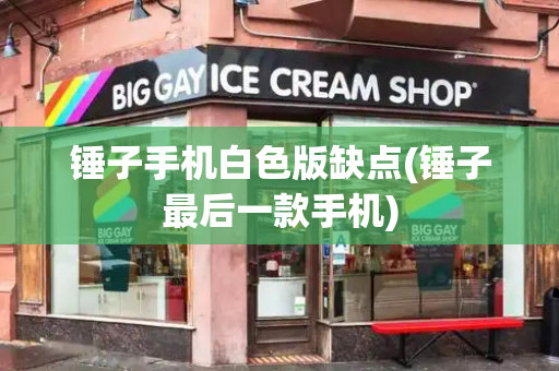 锤子手机白色版缺点(锤子最后一款手机)-第1张图片-星选测评