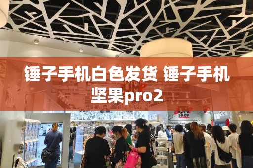 锤子手机白色发货 锤子手机坚果pro2-第1张图片-星选测评