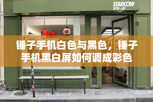 锤子手机白色与黑色，锤子手机黑白屏如何调成彩色