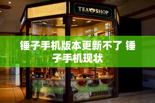 锤子手机版本更新不了 锤子手机现状-第1张图片-星选测评