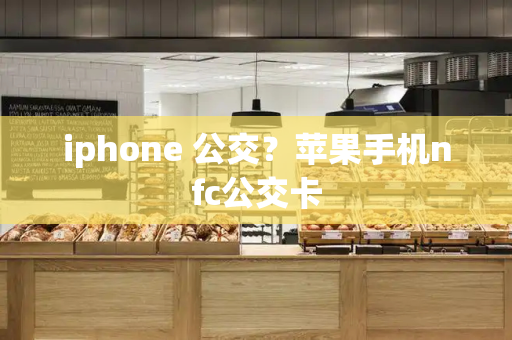 iphone 公交？苹果手机nfc公交卡-第1张图片-星选测评