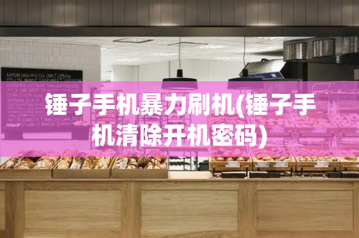 锤子手机暴力刷机(锤子手机清除开机密码)-第1张图片-星选测评