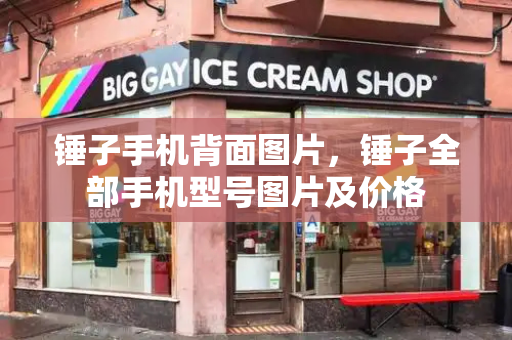 锤子手机背面图片，锤子全部手机型号图片及价格-第1张图片-星选测评