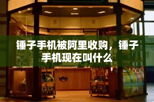 锤子手机被阿里收购，锤子手机现在叫什么
