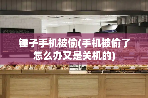 锤子手机被偷(手机被偷了怎么办又是关机的)-第1张图片-星选测评