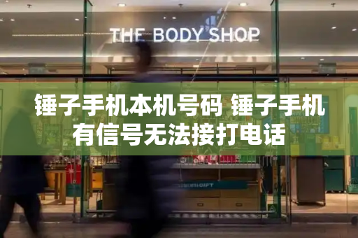 锤子手机本机号码 锤子手机有信号无法接打电话-第1张图片-星选测评