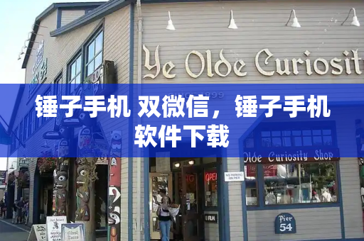 锤子手机 双微信，锤子手机软件下载