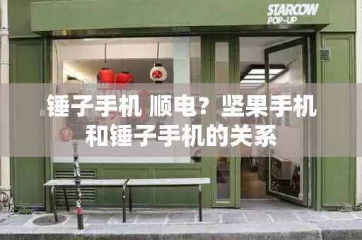 锤子手机 顺电？坚果手机和锤子手机的关系-第1张图片-星选测评
