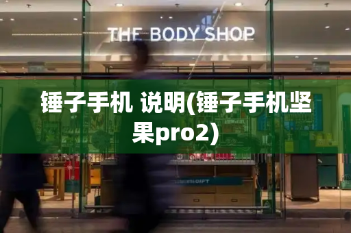 锤子手机 说明(锤子手机坚果pro2)-第1张图片-星选测评