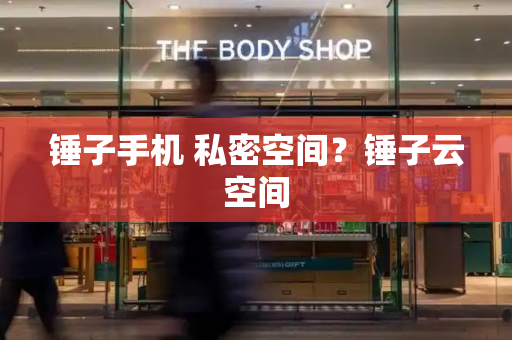 锤子手机 私密空间？锤子云空间