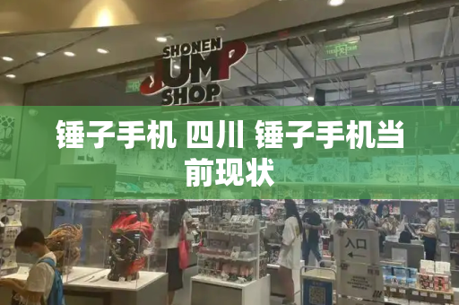 锤子手机 四川 锤子手机当前现状-第1张图片-星选测评