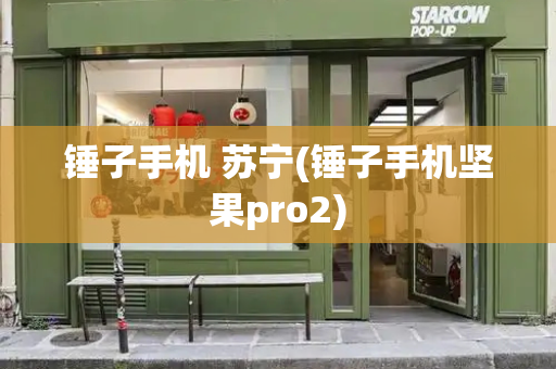 锤子手机 苏宁(锤子手机坚果pro2)-第1张图片-星选测评