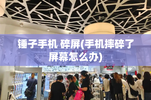 锤子手机 碎屏(手机摔碎了屏幕怎么办)-第1张图片-星选测评