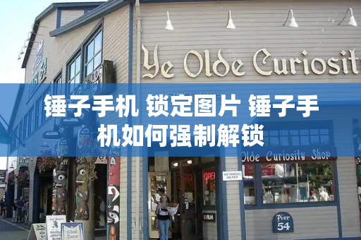 锤子手机 锁定图片 锤子手机如何强制解锁-第1张图片-星选测评