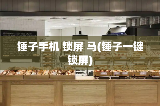 锤子手机 锁屏 马(锤子一键锁屏)-第1张图片-星选测评