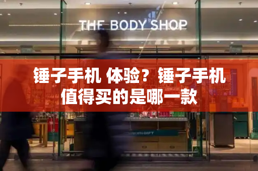 锤子手机 体验？锤子手机值得买的是哪一款