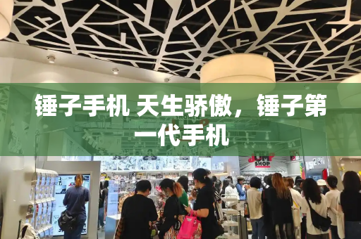 锤子手机 天生骄傲，锤子第一代手机-第1张图片-星选测评