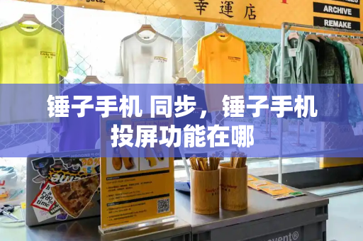 锤子手机 同步，锤子手机投屏功能在哪