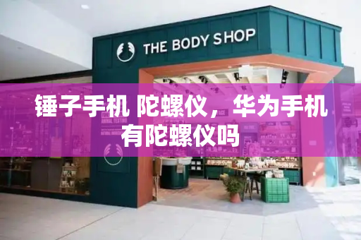 锤子手机 陀螺仪，华为手机有陀螺仪吗