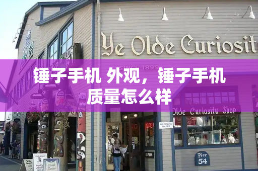 锤子手机 外观，锤子手机质量怎么样-第1张图片-星选测评