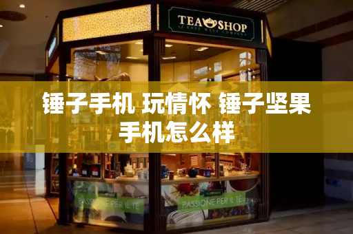 锤子手机 玩情怀 锤子坚果手机怎么样-第1张图片-星选测评