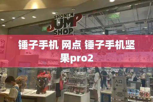 锤子手机 网点 锤子手机坚果pro2-第1张图片-星选测评