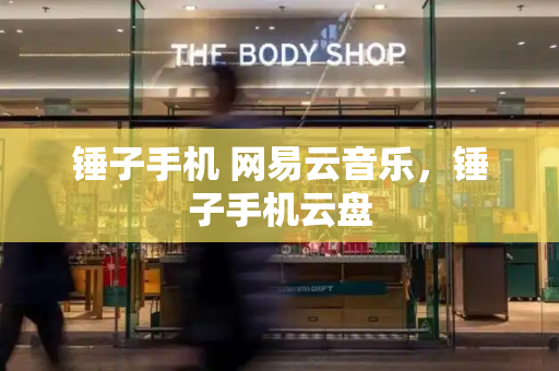 锤子手机 网易云音乐，锤子手机云盘-第1张图片-星选测评
