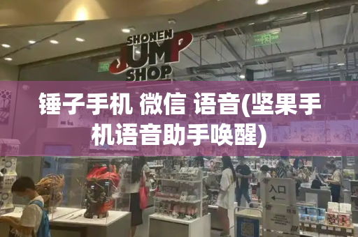 锤子手机 微信 语音(坚果手机语音助手唤醒)