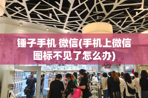 锤子手机 微信(手机上微信图标不见了怎么办)-第1张图片-星选测评