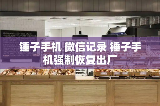 锤子手机 微信记录 锤子手机强制恢复出厂-第1张图片-星选测评